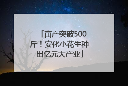 亩产突破500斤！安化小花生种出亿元大产业